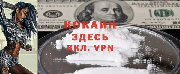 шишки Баксан