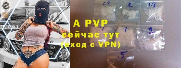 гидра Шали
