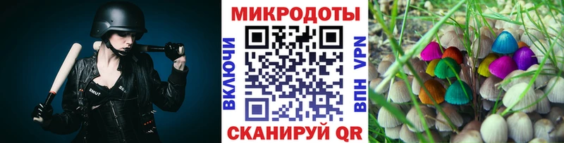 Галлюциногенные грибы Psilocybe  Белая Холуница 